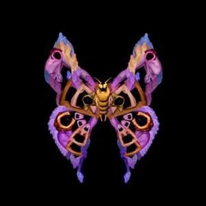 Meet your Posher, Thanh